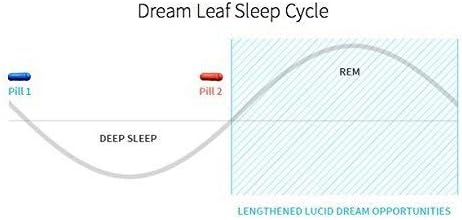 Miniatura 7 de Dream Leaf Pro - Suplemento prémium Lucid Dreaming - 60 cápsulas