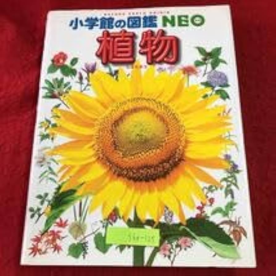 Amazon.co.jp: S6f-125 植物 小学館の図鑑 NEO 2 2005年7月20日