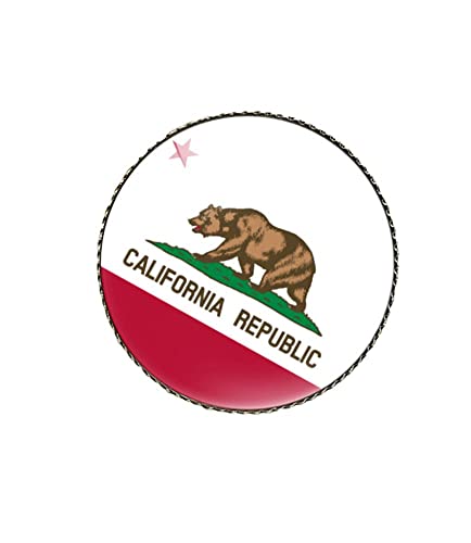 Image of vmcoatdu Round 1 Inch South Carolina Flag Pin Brooch Metal and Inlay Glass Revivalism Style Souvenir Badge Brooch for Hat Clothes Backpack