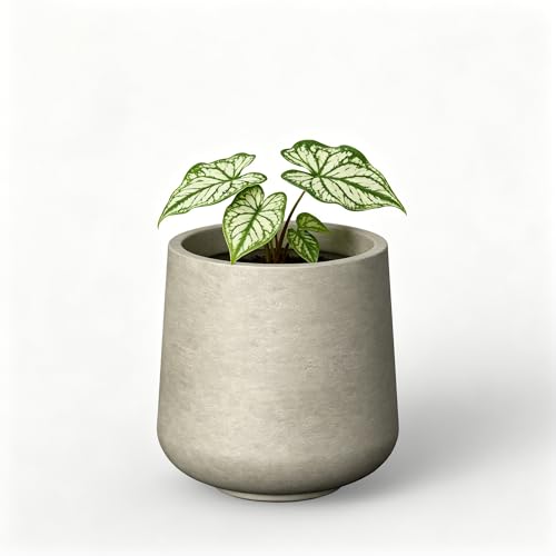 Image of Kante Weathered Concrete Planter 16.5 inch Dia All-Weather Round Large Pot | Handcrafted Cement Curved, Anti-Frost & UV Outdoors, Plug for Indoor, Lightweight & Durable, Modern Home, Garden, Porch