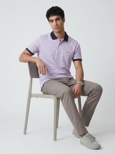 Image of Park Avenue Men Slim Fit Stripe Pattern Pure Cotton Polo Neck Half Sleeve Casual T-Shirt