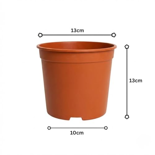 Image of 5 Inch Heavy Duty Plastic Planter | Grower Pot /Garden Pot for Home & Garden (Terracotta) (Pack of 1)