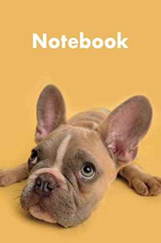 Notebook: French Bulldog notebook college lined, novelty fun gift for kids, teens, women, men