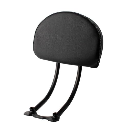 Sissy Bar Sportster S RH1250S Dossier Passager Arrière avec Kit de Fixation Moto