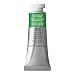 Winsor & Newton Professional Water Color Tube, 14ml, Permanent Sap Green