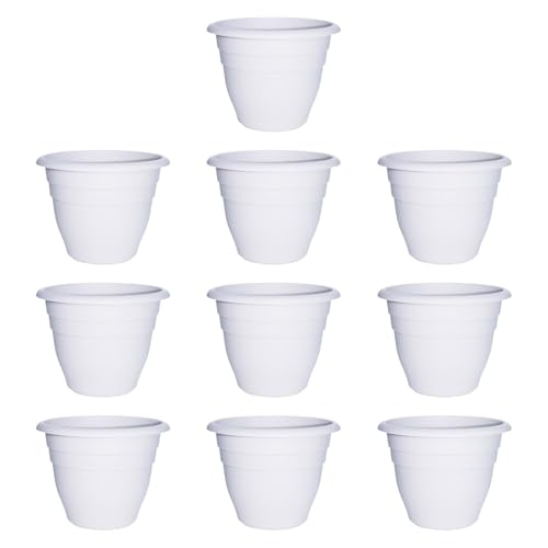 Jinhxofs 10s[X/Aؔ̊Ȓ̓牮OrO[