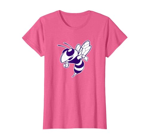 Deep Creek High School Hornets T-Shirt, Women, Pink Heather, X-Small