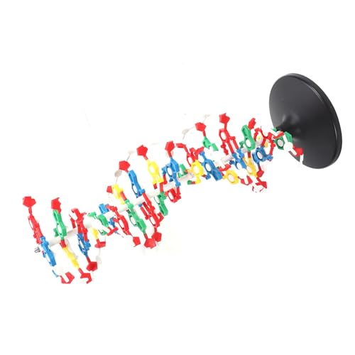 Image of DNA Structure Model Plastic Educational DNA Model Teaching Equipment