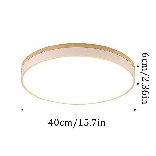 Lámpara LED redonda cocina y dormitorio luz blanca fija 2