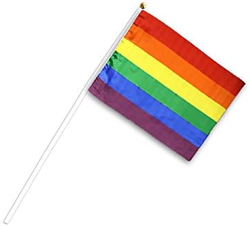 Fundraising For A Cause Small Rainbow Flag On A Stick in a Bag (1 Flag - Retail)