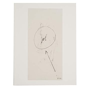 Capa do livro Sinais Mira Schendel, Capa Comum, (Português e Inglês), Edição 2018, MAM, MAM São Paulo