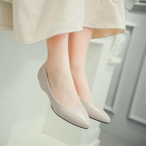 LYYSKY Comfortable Flats for Women Pointed Toe Slip On Pumps Dress Shoe Plus Size EU32-EU48/US2-US152