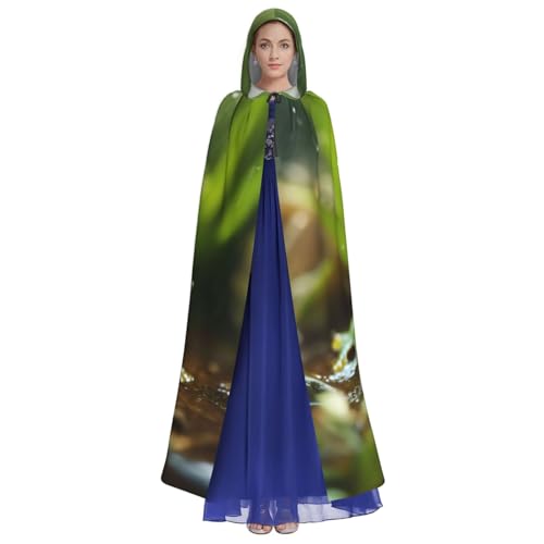 Cape à capuche déguisement grenouille cosplay Noël médiéval