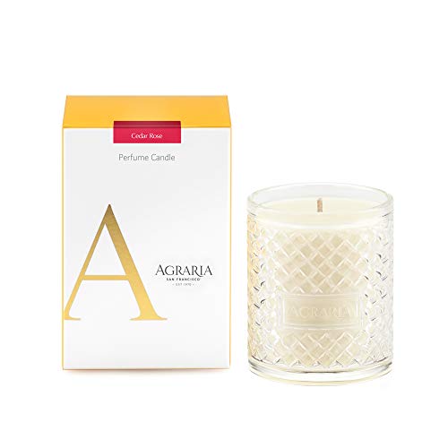 AGRARIA Cedar Rose Scented 7oz Perfume Candle - Premium Soy-Based Wax