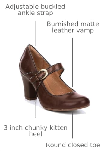Image of SHODENSE Women Vintage Chunky High Heel Mary Jane Shoes Round Closed Toe Ankle Strap Dress Sandals 3 inch Block Heels Mary Jane Lolita Pumps Two-Toned Patchwork Buckle Office Lady Wedding Retro 4-11 M US