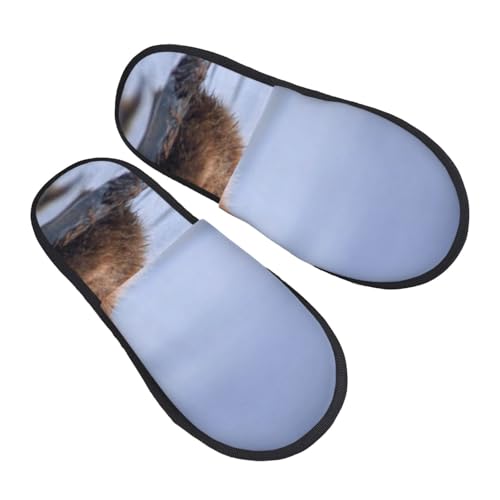 水の中のカワウソ スリッパ 冬 秋 室内 メンズ レディース 自宅用 来客用 職場 もこもこ 暖かい 軽くて磨耗に強く柔らかい 洗いやすく、持ち運びに便利 男女兼用 L