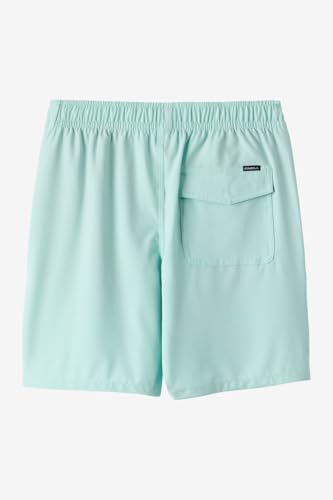O’Neill Boys Lennox Hermosa 16" Solid Volley Short – Quick-Dry Swim & Play Trunk2