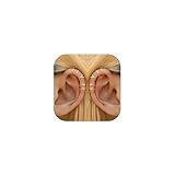 Muorruo 3 pares de aretes sin perforación - Regalos de moda para adolescentes, pendientes de clip en dorado y plateado, juego de joyas para mujeres jóvenes y adolescentes, aretes falsos dorados