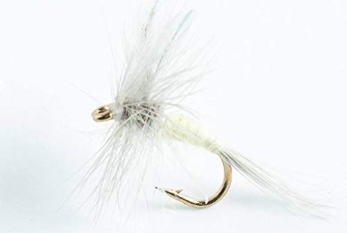 Blue Wing Olive Pale Morning Dun Dry Fly, 6-Pack (#12)