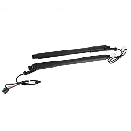 Ewlsac Electric Tailgate Trunk Hatch Power Lift Support Strut Shock 2007-2013 For Bmw X5 E70 E70Lci Replacement 51244887651 51244887652 #TOP2