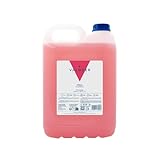 VALQUER Champú de Fresa | Fortalece y Protege el Cabello | Limpieza Profunda y Suavidad para Todo Tipo de Pelo | Fórmula Vegana Sin Siliconas | Formato Profesional Garrafa 5L