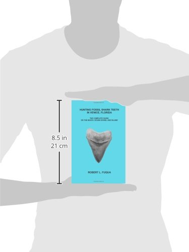 Hunting Fossil Shark Teeth In Venice, Florida: The Complete Guide: On The Beach, SCUBA Diving, and Inland - Image 3