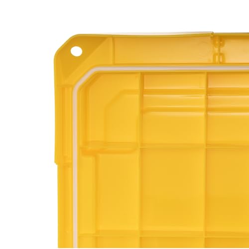 IRIS USA 2-Pack Storage Trunks