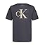 Ck Hemisphere