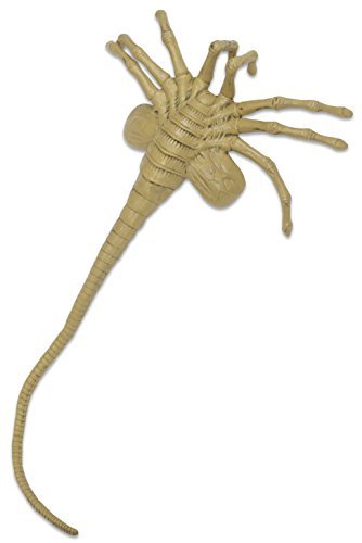 Amazon.com: NECA Alien Foam Prop Replica Life-Size Facehugger