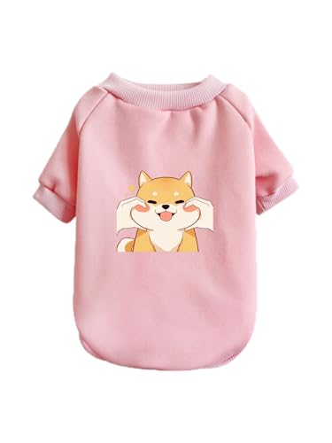  Č 킢  ybg hbOEFA ̕ L ybgEFA h _炩 іh~   t@bV U ybgpi