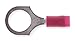 Thomas & Betts RA18-38 Insulated Nylon Ring Terminal (Pack of 100)