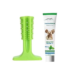 Pets Empire Dog Toothbrush, Brushing Stick, Non-Toxic Natural Rubber + Pet Dog Toothpaste Dental Clean Oral Health Care Fresh Breath Plaque Removal Aid -100 GMS Mint Flavor
