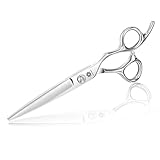 Dream Reach Hair Cutting Scissors Professional Barber Shears, 6.0 inch Hairdressing Regular Scissor Salon Razor Edge Hair Cutting Shear Japanese 440C Stainless Steel