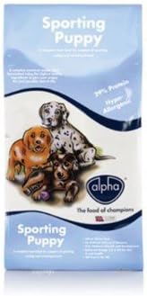 alpha sporting puppy