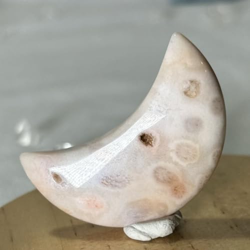 s tHbVR[ tVR ^u ΎX X p[Xg[ tHVR[ tHbVR[