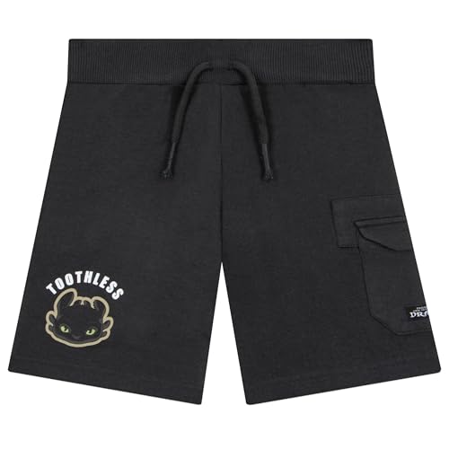 Image of How To Train Your Dragon Shirt And Shorts, Toothless Boys Tshirt And Boys Shorts, Dragon Cotton T Shirt Outfit Set