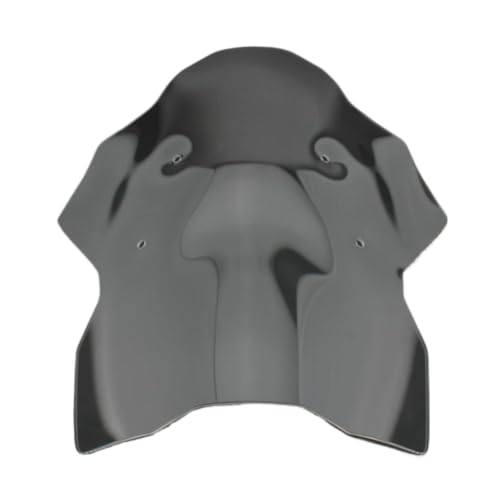Pare-brise clair R1300GS déflecteur de vent moto avant bulle