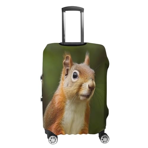 Carry on Luggage Cover Squirrel Suitcase Covers for Luggages Tsa Approved Travel Luggage Sleeve Protector Elastic Suitcase Protector Anti-Scratch Washable Fits 19-30 Inch Case -L4