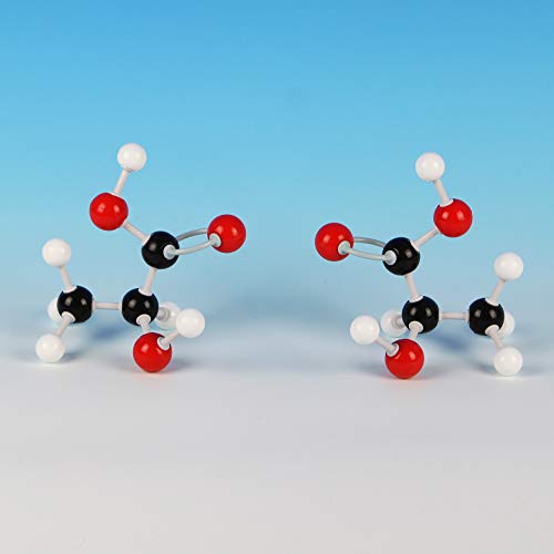 EASTCHEM Chemistry Atoms and Molecular Model, Great Scientific Gifts, Educational Chiral Molecule, Hand Shape Molecule for Senior and Teacher, 2 Pieces of 1 Set
