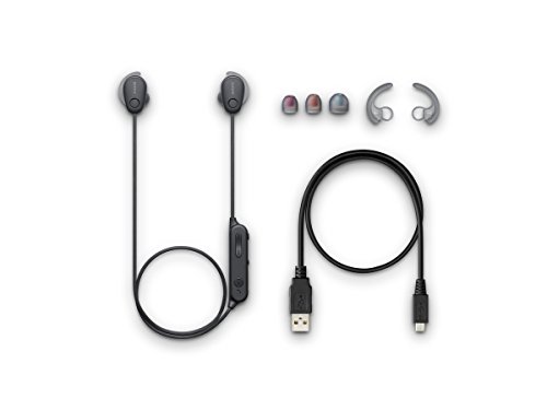 Sony Sp600N Wireless Noise Canceling Sports In-Ear Headphones, Black (Wi-Sp600N/B) #TOP3
