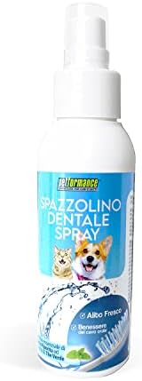 Olio Di Cocco, Mettilo In Bocca Ogni Sera: Quello Che Succede &egrave; Spaziale | Addio Al Dentista