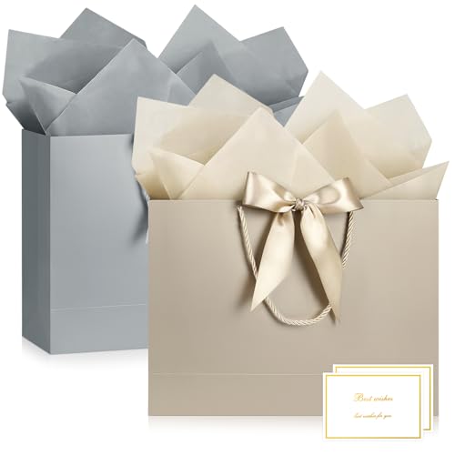 Image of JMANNI Gift Bags with Handles, 13 inch Medium Gift Bag for Presents, 2 Pcs Bags with 4 Tissue Paper and 2 Cards for Graduation Baby Shower Wedding Fathers Day Mother's Day Birthday Party(Champagne Silver)