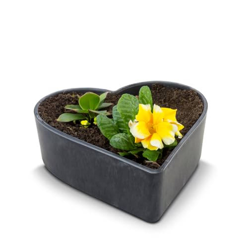 matches21 wetterfeste Pflanzschale Herz für draußen - große Dekoschale in schwarz marmoriert als Blumen-Schale - Garten-Deko Schale in 20 cm für Blumen oder Friedhof Grabschale als Grab-Schmuck matches21 wetterfeste Pflanzschale Herz für draußen - große Dekoschale in schwarz marmoriert als Blumen-Schale - Garten-Deko Schale in 20 cm für Blumen oder Friedhof Grabschale als Grab-Schmuck