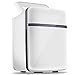 Raxinbang Mini frigoriferi Mini Frigo 10 L Radiatore E Scaldabagno Elettrico for Auto, Cavi di Alimentazione CA E CC Frigo Compatto Portatile con Ripiani Regolabili for Casa, Ufficio, Dormitorio