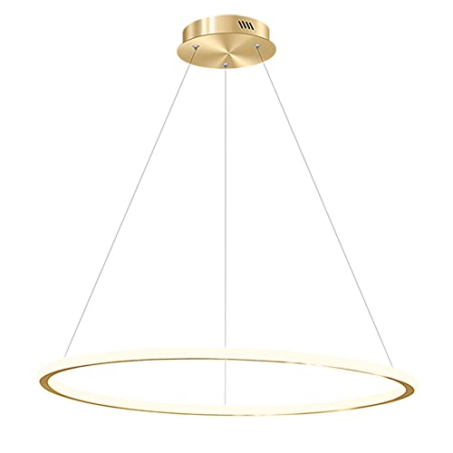 Lampes suspendues à LED 25W avec diffuseur minimaliste pour plafond