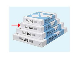 Forestway Rs[y[p[N A4 500/FRW780444