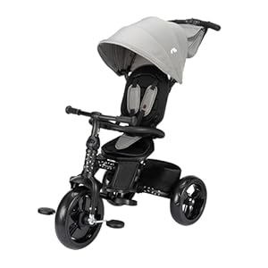 Bebeconfort Windy, Triciclo Evolutivo con Manillar para Padres, 10M-4A, 0-25 kg, Ajustable al Niño, Asiento Cómodo y Reversible, Capota Protectora, Plegado Compacto, Bicicleta Infantil, Tinted Grey