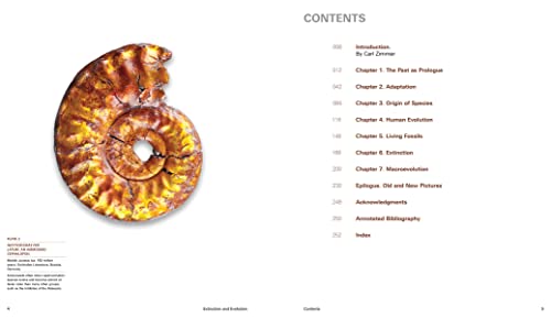 Extinction And Evolution: What Fossils Reveal About The History Of Life #TOP2