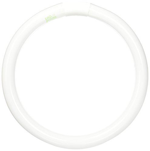 Eiko FC12T9/D Day Light Circline T-9 G10Q Base Halogen Bulb, 32W