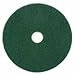 20 in. Scrubbing Pad, Green - Case of 5